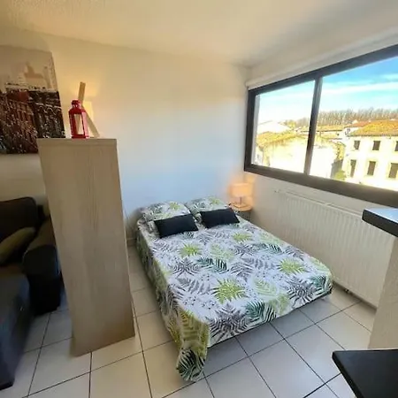 Le Pont Vieux 5 Min Cite Emplacement Ideal Apartment *