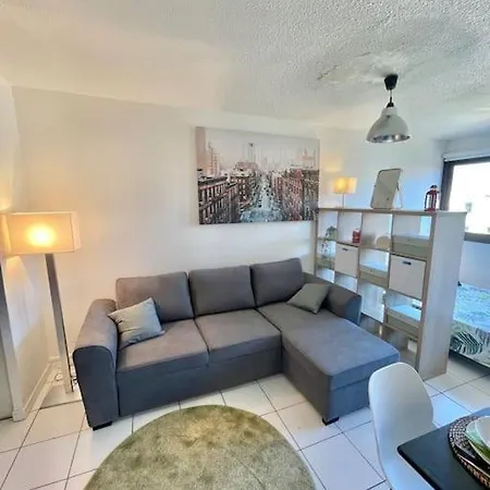 Le Pont Vieux 5 Min Cite Emplacement Ideal Apartment